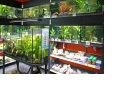 Réalisation complète d’aquariums d’eau douce et d’eau de mer clé en main